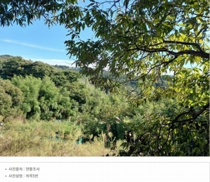 2025타경20424 충청남도 공주시 의당면 월곡리 185-1 과수원 경매 이미지