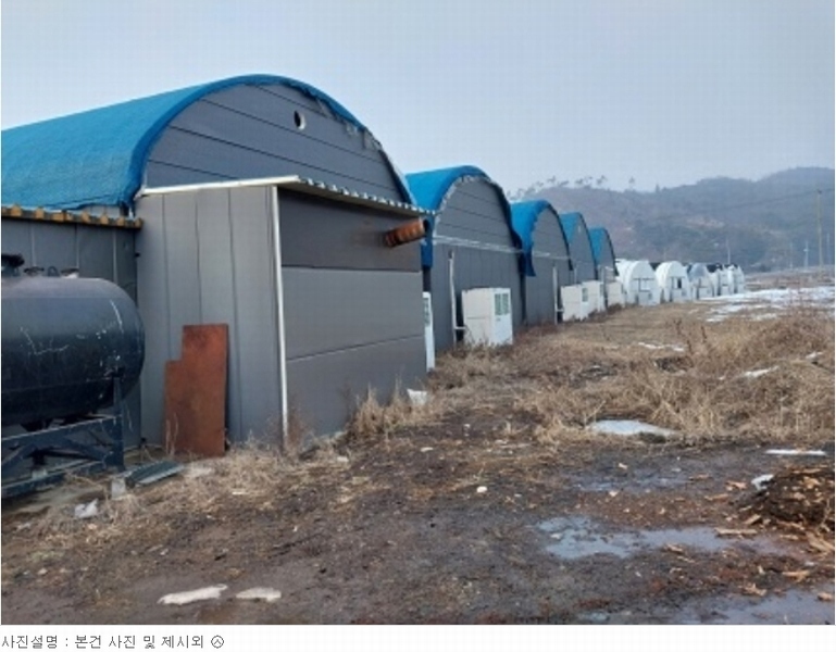 2023타경1472 충청남도 청양군 대치면 주정리 168-3 농지 경매 이미지