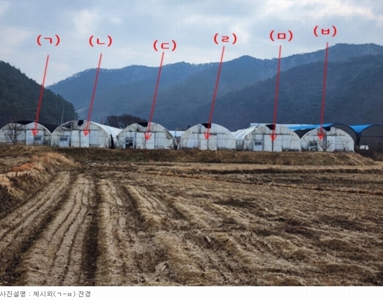 2023타경1472 충청남도 청양군 대치면 주정리 168-3 농지 경매 이미지