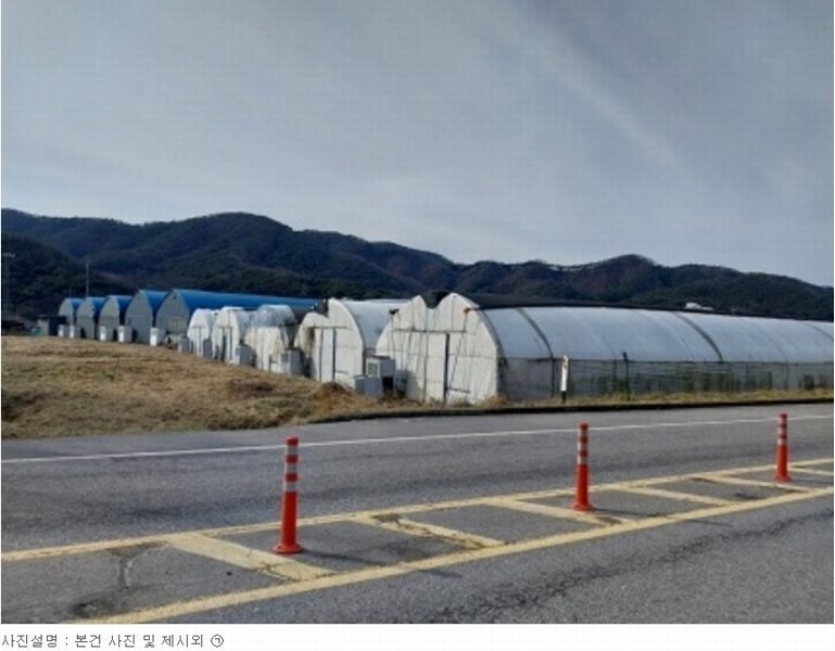 2023타경1472 충청남도 청양군 대치면 주정리 168-3 농지 경매 이미지
