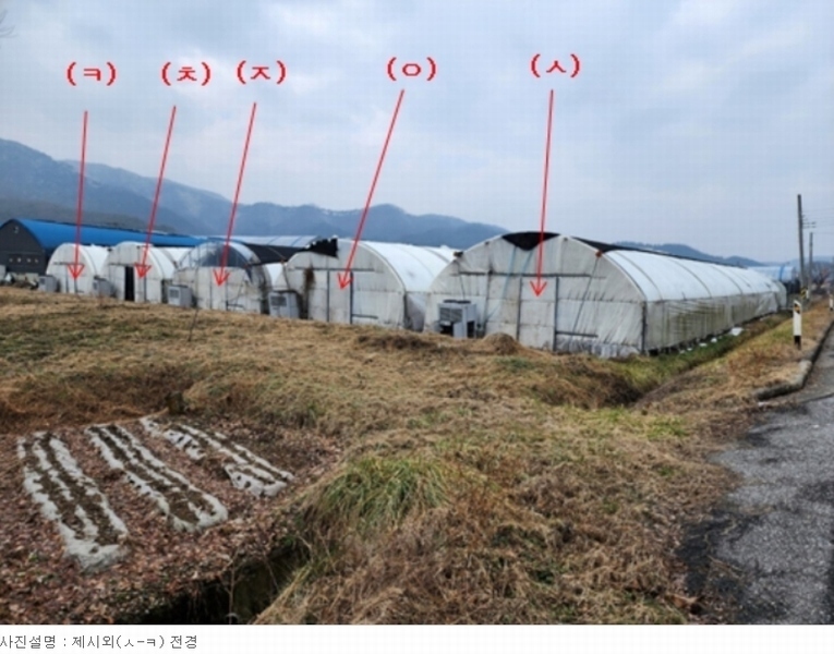 2023타경1472 충청남도 청양군 대치면 주정리 168-3 농지 경매 이미지
