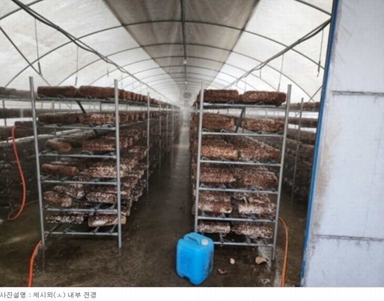 2023타경1472 충청남도 청양군 대치면 주정리 168-3 농지 경매 이미지