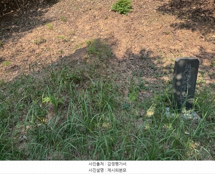 2024타경1271 충청남도 공주시 우성면 오동리 산22-1 임야 경매 이미지