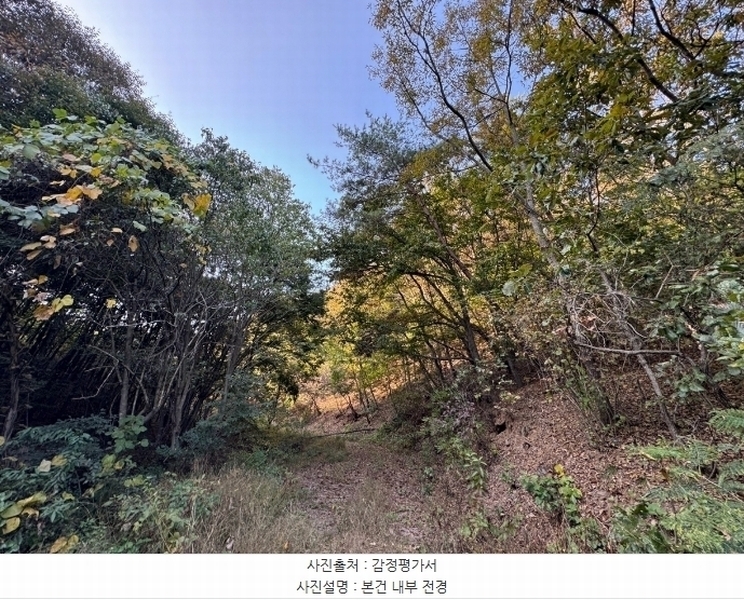 2024타경1271 충청남도 공주시 우성면 오동리 산22-1 임야 경매 이미지