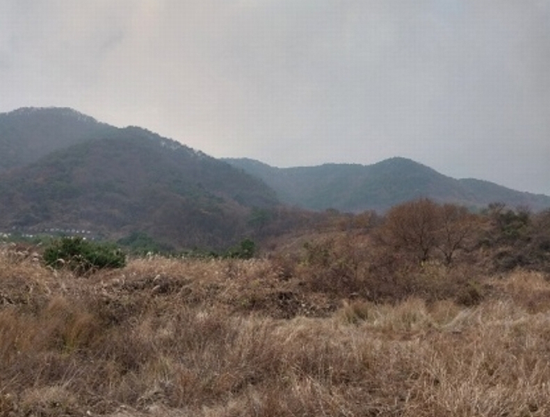2024타경1332 충청남도 공주시 사곡면 가교리 산45-2 임야 경매 이미지