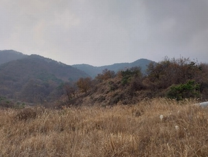 2024타경1332 충청남도 공주시 사곡면 가교리 산45-2 임야 경매 이미지