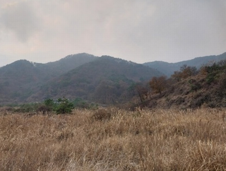2024타경1332 충청남도 공주시 사곡면 가교리 산45-2 임야 경매 이미지
