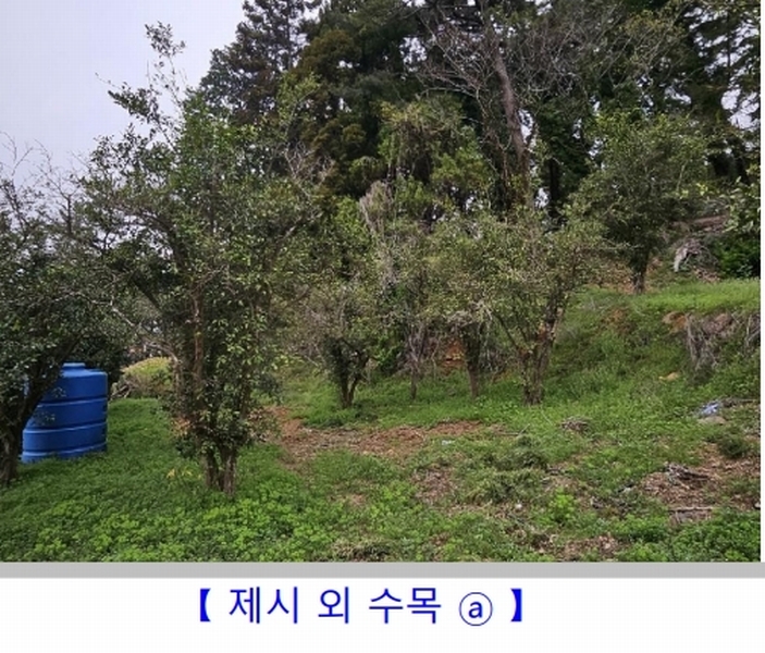 2024타경1424 경상남도 통영시 용남면 장문리 411-1 대지 경매 이미지