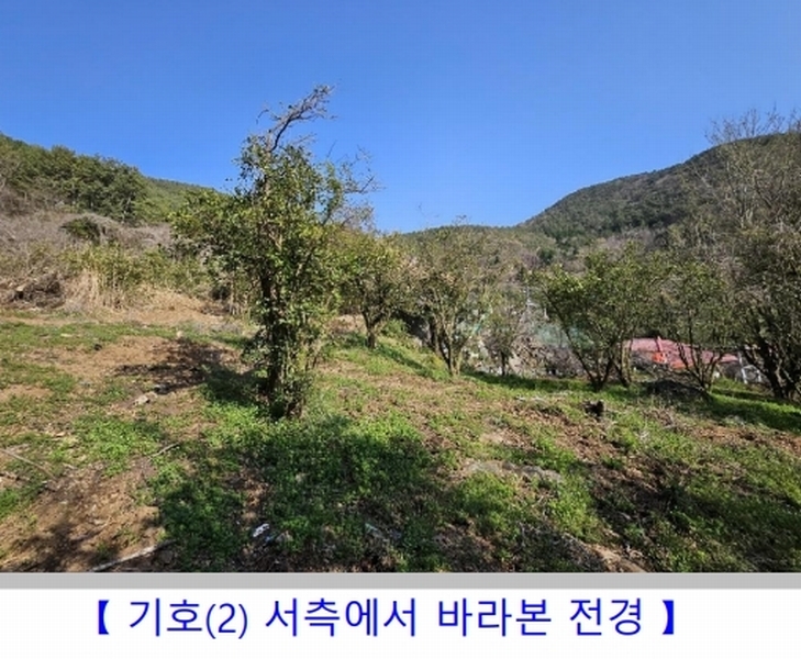 2024타경1424 경상남도 통영시 용남면 장문리 411-1 대지 경매 이미지