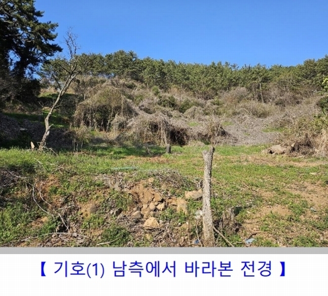 2024타경1424 경상남도 통영시 용남면 장문리 411-1 대지 경매 이미지