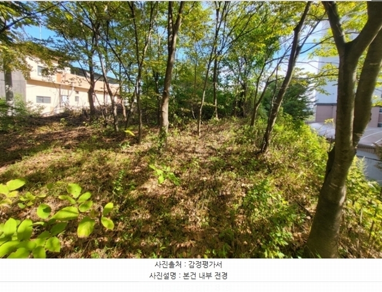 2024타경1530 경상북도 예천군 예천읍 남본리 91-1 임야 경매 이미지