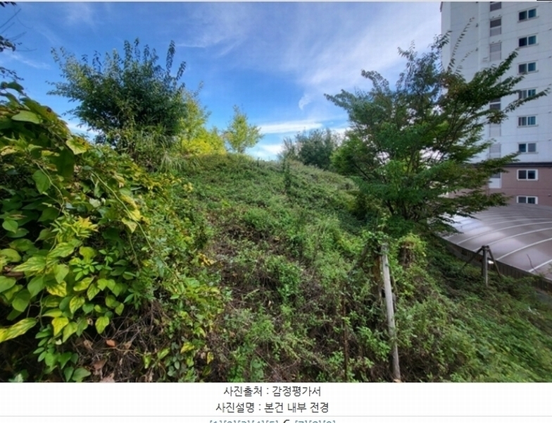 2024타경1530 경상북도 예천군 예천읍 남본리 91-1 임야 경매 이미지
