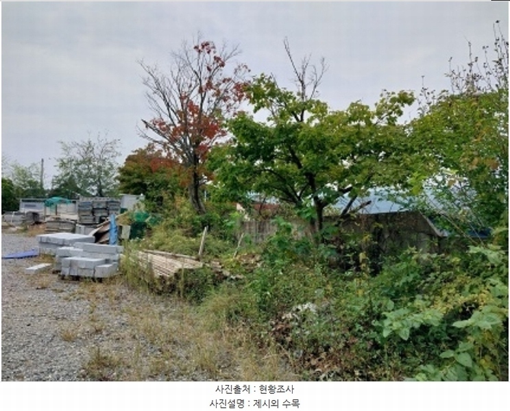 2024타경21824 충청남도 공주시 반포면 봉곡리 115 대지 경매 이미지
