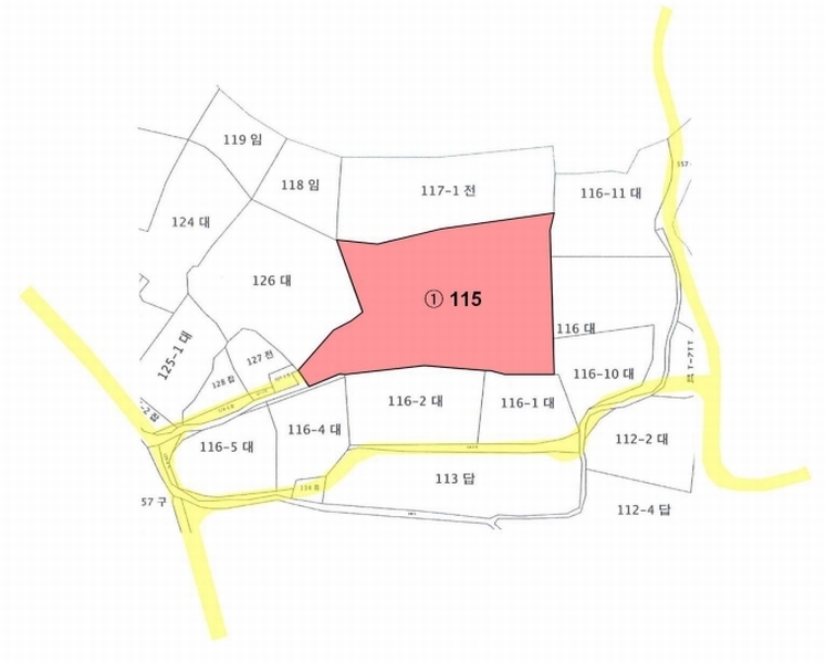 2024타경21824 충청남도 공주시 반포면 봉곡리 115 대지 경매 이미지