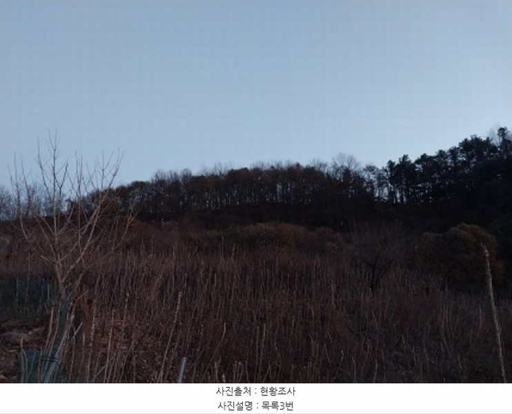2024타경22124 충청남도 공주시 월송동 산68-4 임야 경매 이미지