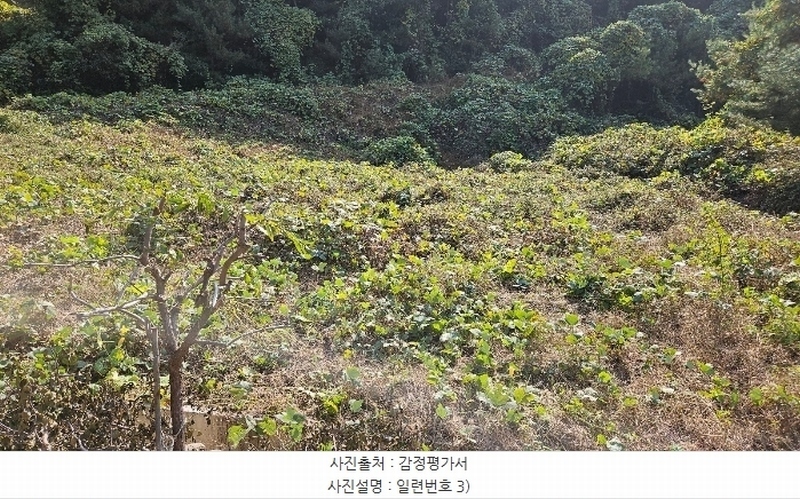 2024타경22124 충청남도 공주시 월송동 산68-4 임야 경매 이미지