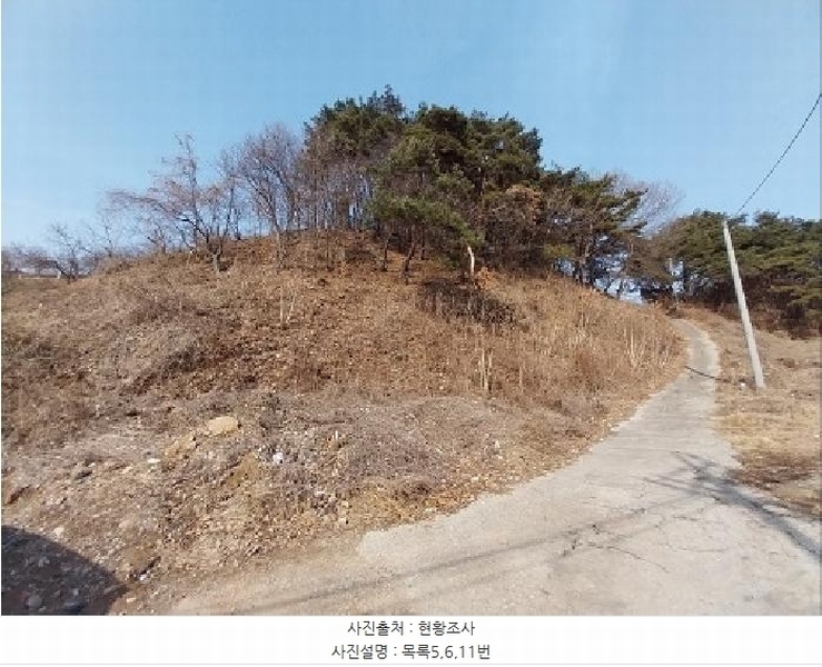 2024타경22407 충청남도 공주시 유구읍 석남리 25-5 임야 경매 이미지