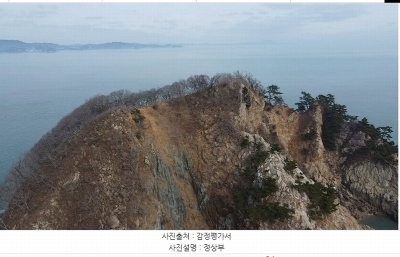2024타경158 충청남도 태안군 근흥면 신진도리 산19 임야 경매 이미지