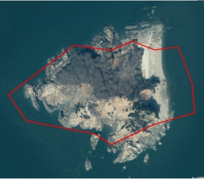 2024타경158 충청남도 태안군 근흥면 신진도리 산19 임야 경매 이미지