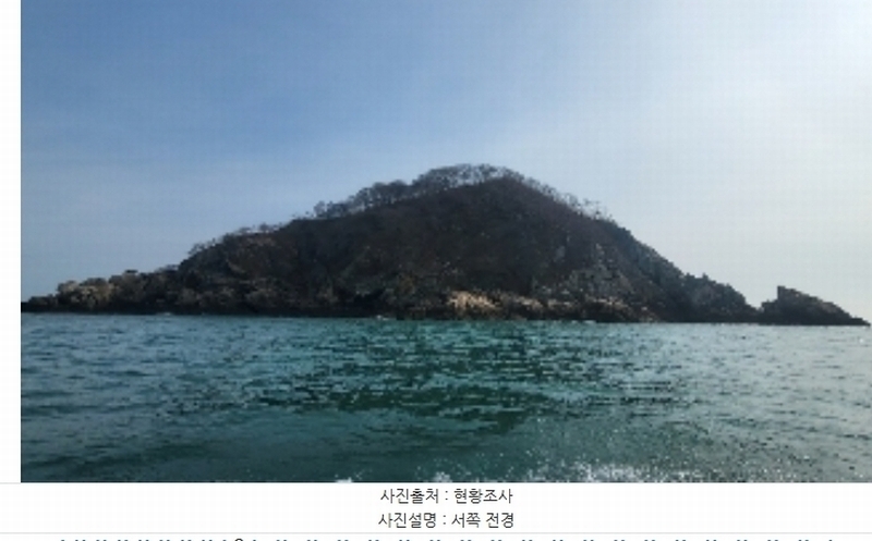2024타경158 충청남도 태안군 근흥면 신진도리 산19 임야 경매 이미지