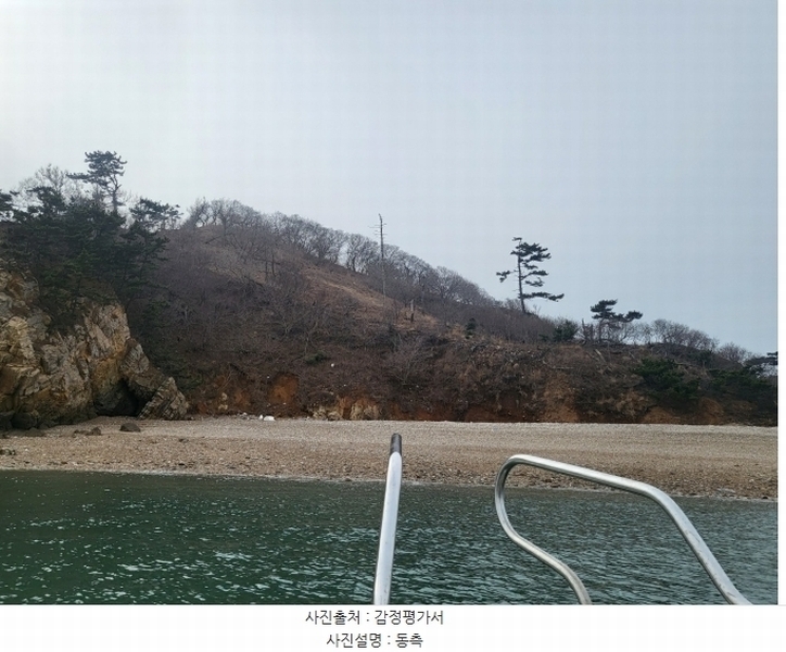 2024타경158 충청남도 태안군 근흥면 신진도리 산19 임야 경매 이미지