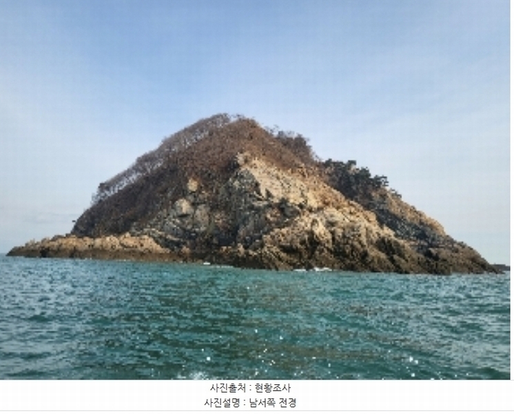 2024타경158 충청남도 태안군 근흥면 신진도리 산19 임야 경매 이미지