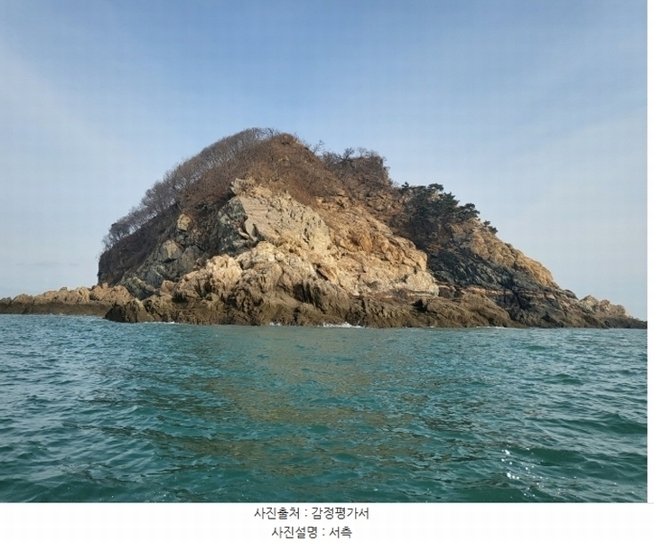 2024타경158 충청남도 태안군 근흥면 신진도리 산19 임야 경매 이미지