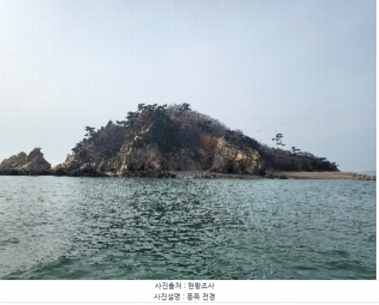 2024타경158 충청남도 태안군 근흥면 신진도리 산19 임야 경매 이미지