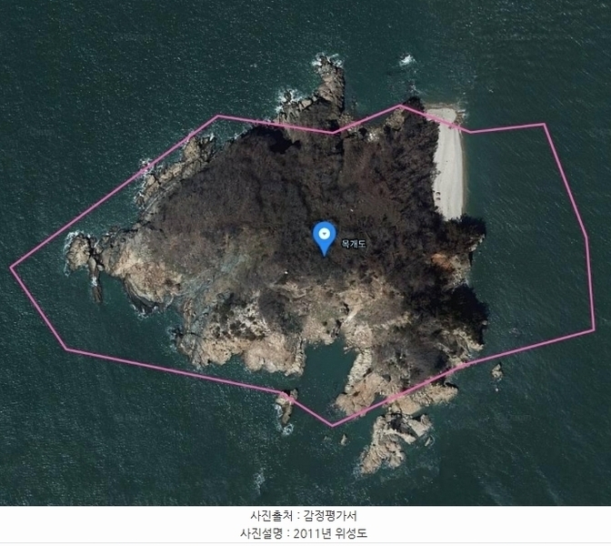 2024타경158 충청남도 태안군 근흥면 신진도리 산19 임야 경매 이미지