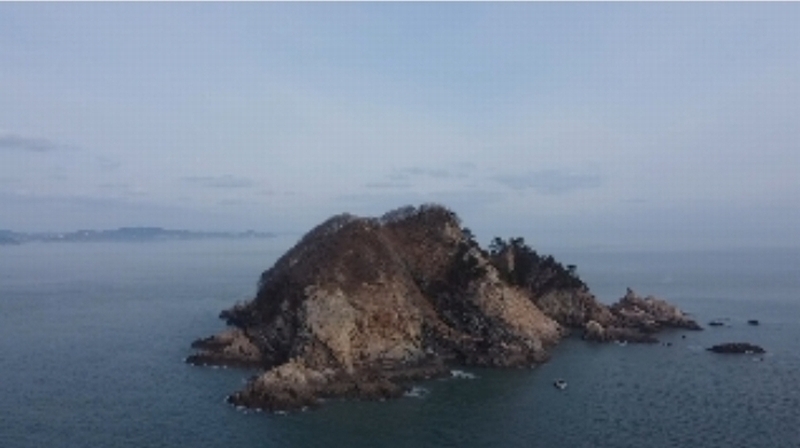 2024타경158 충청남도 태안군 근흥면 신진도리 산19 임야 경매 이미지