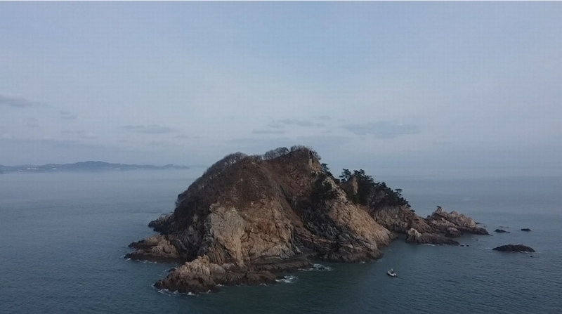 2024타경158 충청남도 태안군 근흥면 신진도리 산19 임야 경매 이미지