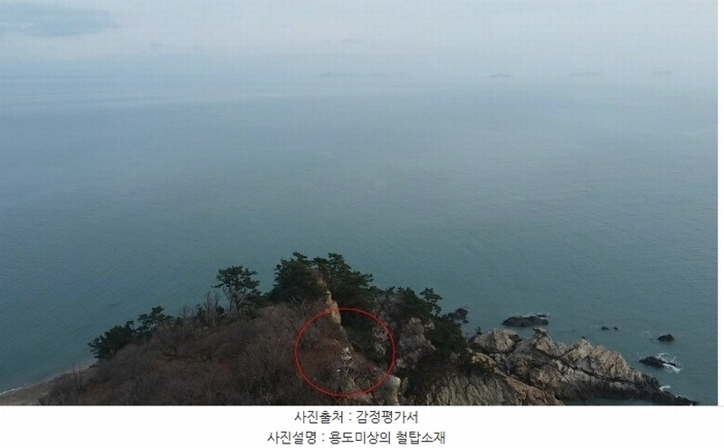 2024타경158 충청남도 태안군 근흥면 신진도리 산19 임야 경매 이미지