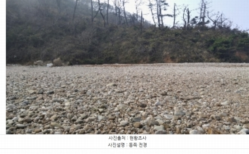 2024타경158 충청남도 태안군 근흥면 신진도리 산19 임야 경매 이미지