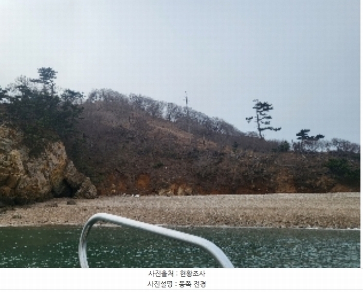 2024타경158 충청남도 태안군 근흥면 신진도리 산19 임야 경매 이미지