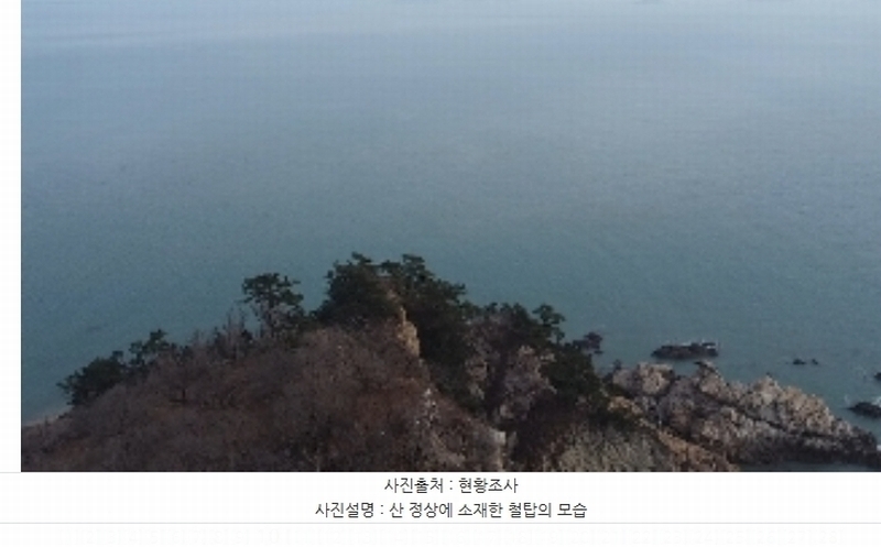 2024타경158 충청남도 태안군 근흥면 신진도리 산19 임야 경매 이미지
