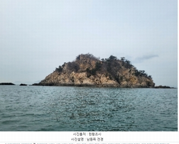 2024타경158 충청남도 태안군 근흥면 신진도리 산19 임야 경매 이미지