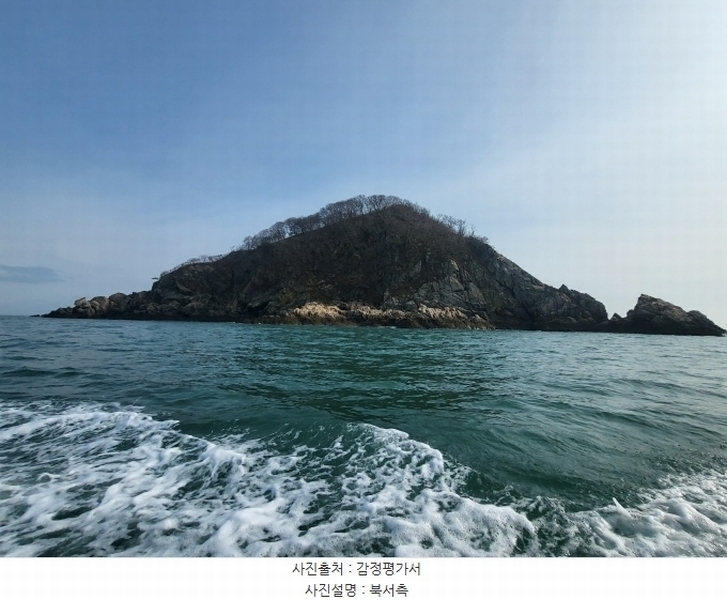 2024타경158 충청남도 태안군 근흥면 신진도리 산19 임야 경매 이미지
