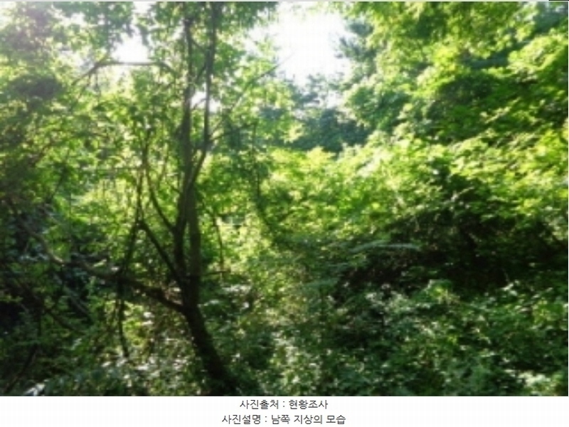 2024타경2796 충청남도 태안군 안면읍 승언리 218-18 농지 경매 이미지