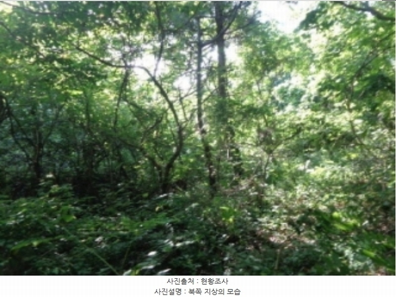 2024타경2796 충청남도 태안군 안면읍 승언리 218-18 농지 경매 이미지