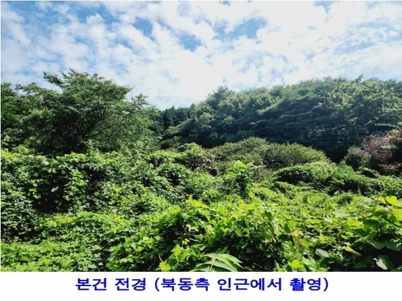 2024타경2796 충청남도 태안군 안면읍 승언리 218-18 농지 경매 이미지