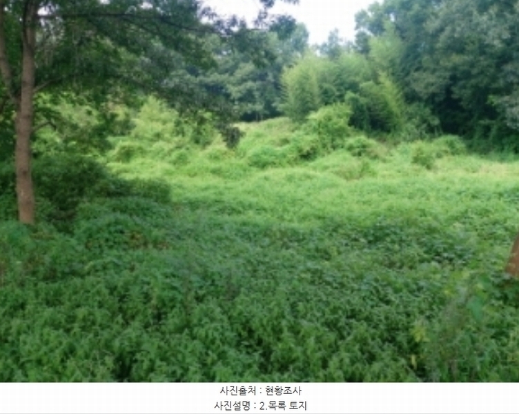 2024타경3508 충청남도 당진시 송악읍 부곡리 397-3 농지 경매 이미지