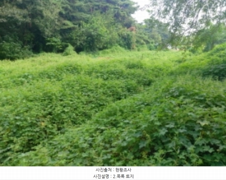 2024타경3508 충청남도 당진시 송악읍 부곡리 397-3 농지 경매 이미지