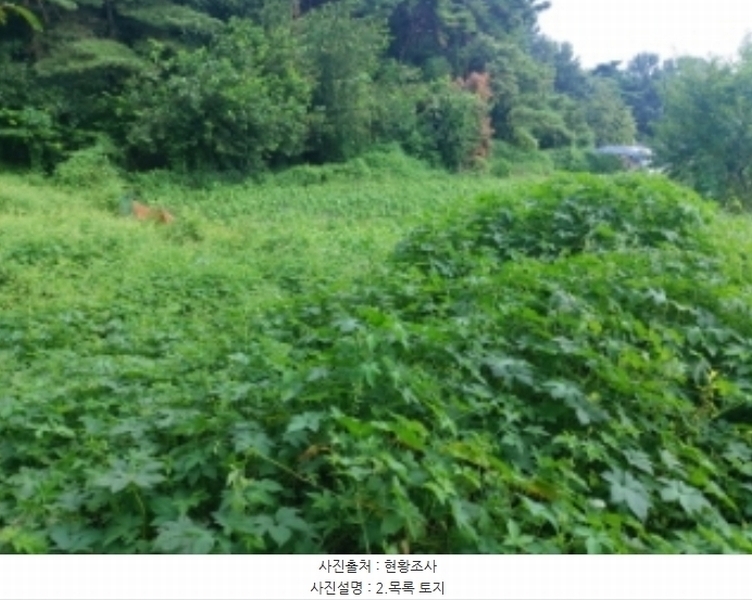2024타경3508 충청남도 당진시 송악읍 부곡리 397-3 농지 경매 이미지