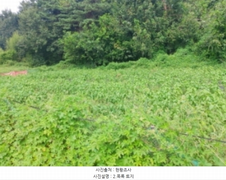 2024타경3508 충청남도 당진시 송악읍 부곡리 397-3 농지 경매 이미지
