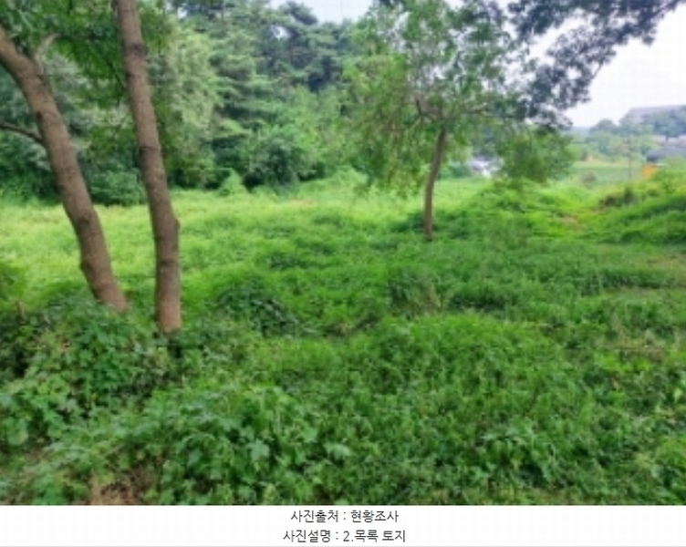 2024타경3508 충청남도 당진시 송악읍 부곡리 397-3 농지 경매 이미지