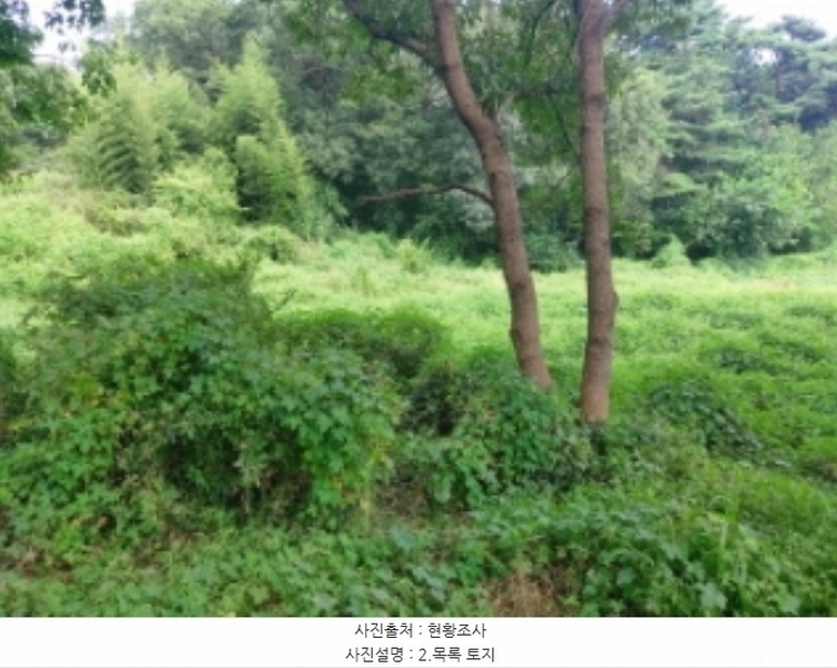 2024타경3508 충청남도 당진시 송악읍 부곡리 397-3 농지 경매 이미지