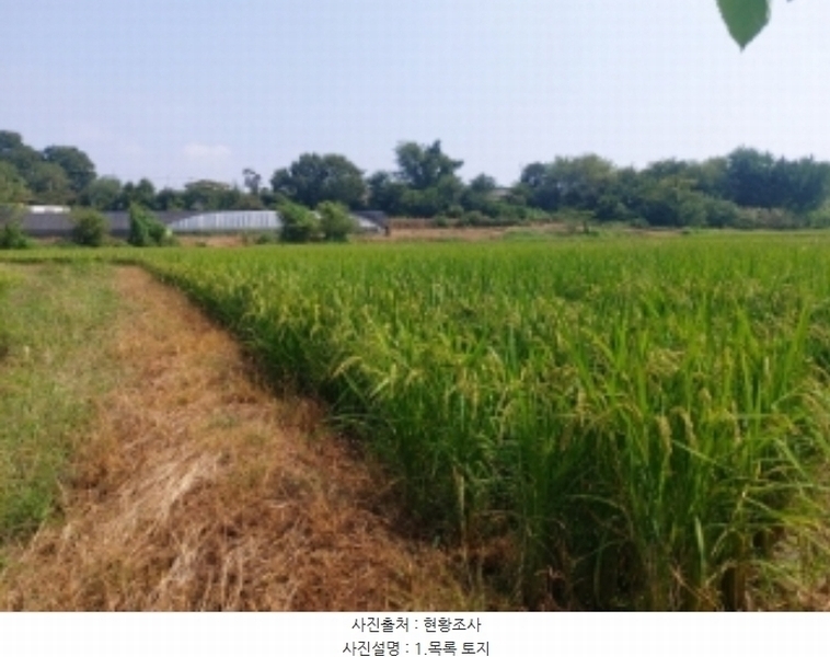 2024타경3683 충청남도 당진시 송악읍 가학리 123 농지 경매 이미지