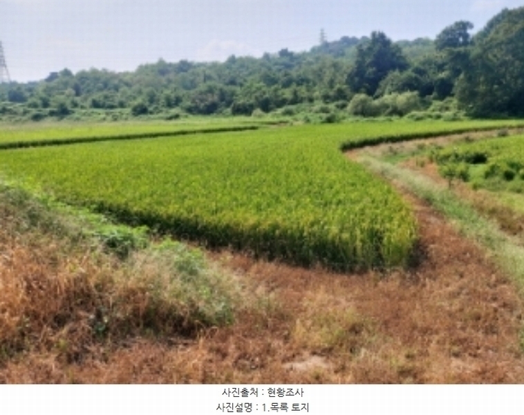 2024타경3683 충청남도 당진시 송악읍 가학리 123 농지 경매 이미지
