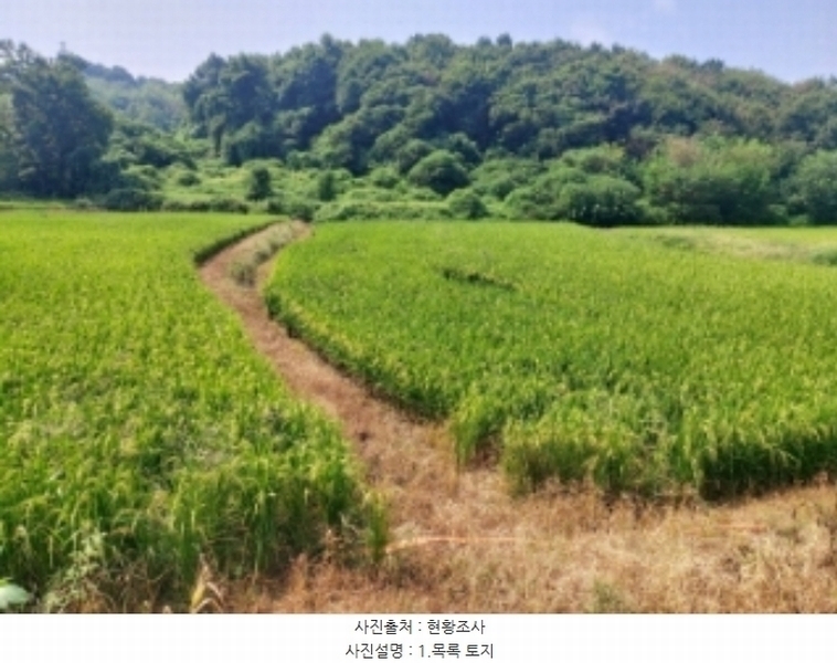 2024타경3683 충청남도 당진시 송악읍 가학리 123 농지 경매 이미지