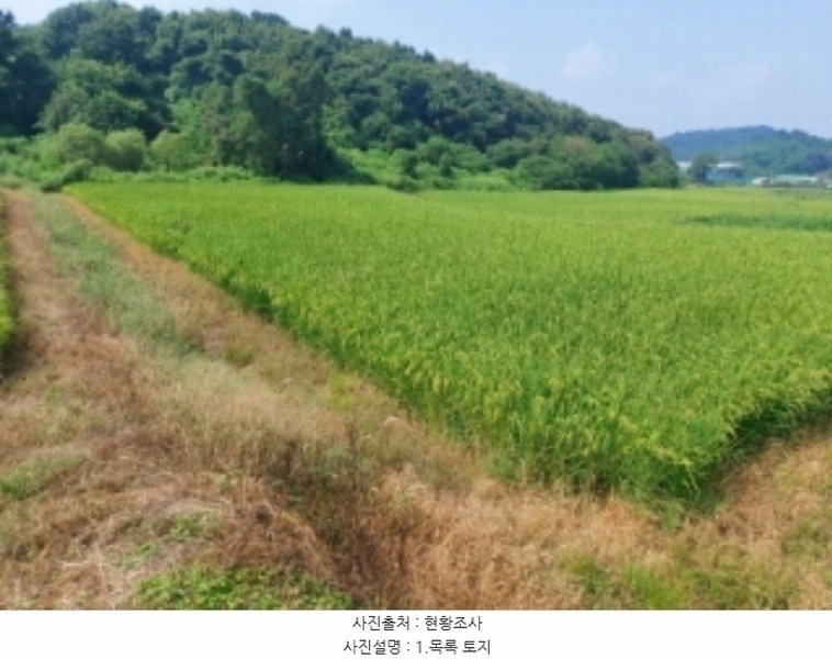 2024타경3683 충청남도 당진시 송악읍 가학리 123 농지 경매 이미지